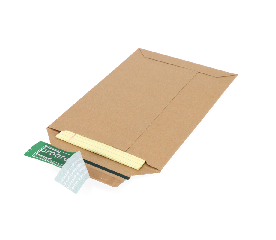 RV/1: 167 x 240 x 30 mm. cardboard envelope 3