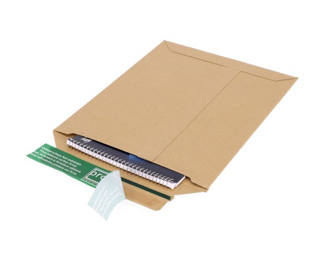 RV/2: 205 x 262 x 30 mm. cardboard envelope 1