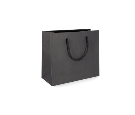 PREM-3: 360 x 130 x 320 mm paper bag with fabric handles 3