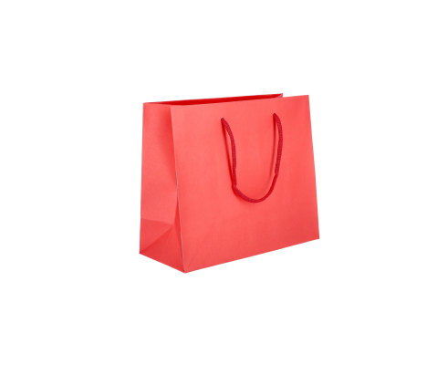 PREM-1: 200 x 100 x 180 mm paper bag with fabric handles 4