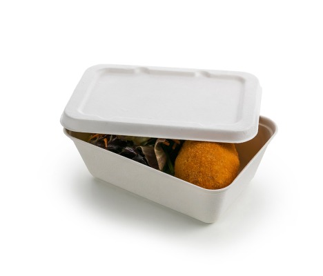 TA/D1: lid for organic disposable container for food, 170x120mm, 125 pcs. 1