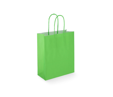 TW-2: 180 x 80 x 220 mm paper bag with twist paper handles 10