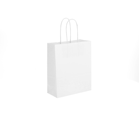 TW-2: 180 x 80 x 220 mm paper bag with twist paper handles 2