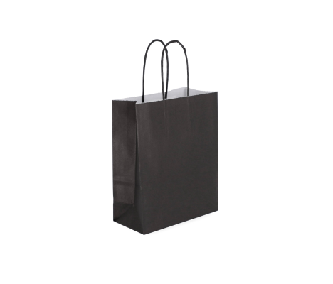 TW-2: 180 x 80 x 220 mm paper bag with twist paper handles 4