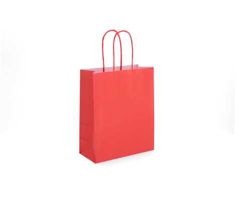 TW-2: 180 x 80 x 220 mm paper bag with twist paper handles 7