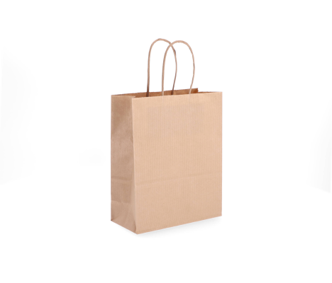 TW-2: 180 x 80 x 220 mm paper bag with twist paper handles 9