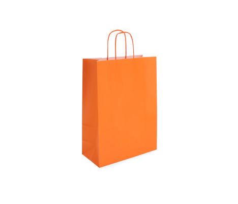 TW-3: 220 x 100 x 310 mm paper bag with twist paper handles 6