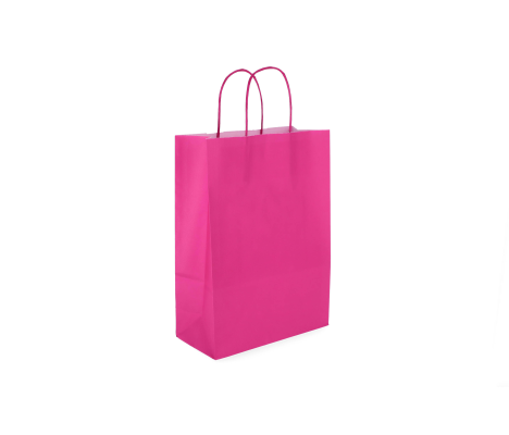 TW-3: 220 x 100 x 310 mm paper bag with twist paper handles 8