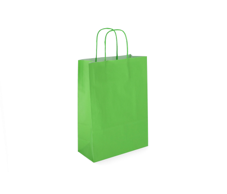 TW-3: 220 x 100 x 310 mm paper bag with twist paper handles 10