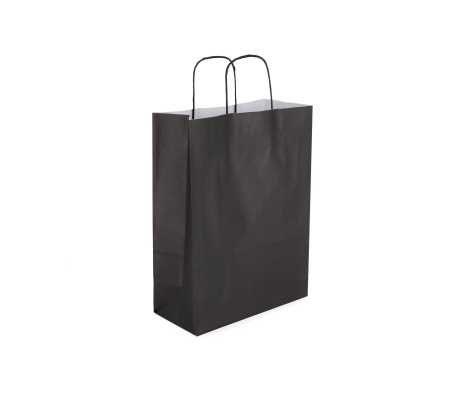 TW-3: 220 x 100 x 310 mm paper bag with twist paper handles 4