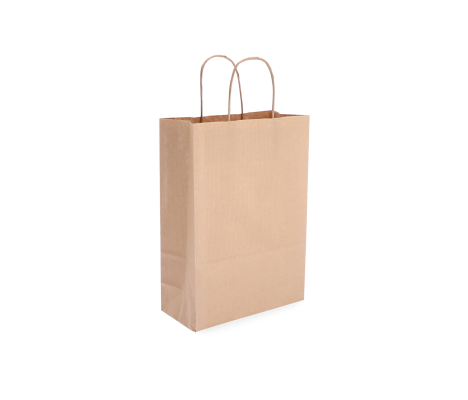 TW-3: 220 x 100 x 310 mm paper bag with twist paper handles 9