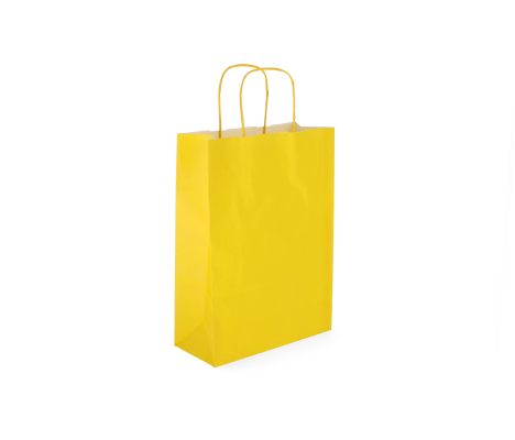 TW-3: 220 x 100 x 310 mm paper bag with twist paper handles 3