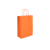 TW-4: 260 x 120 x 350 mm paper bag with twist paper handles 17