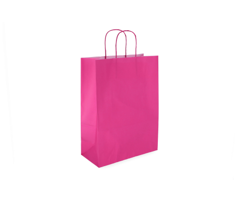 TW-4: 260 x 120 x 350 mm paper bag with twist paper handles 8