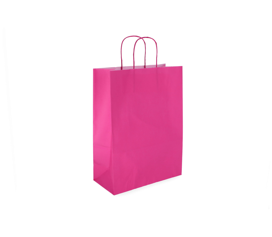 TW-4: 260 x 120 x 350 mm paper bag with twist paper handles 21