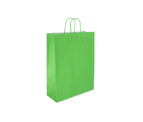 TW-4: 260 x 120 x 350 mm paper bag with twist paper handles 10