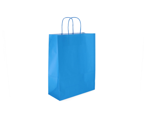 TW-4: 260 x 120 x 350 mm paper bag with twist paper handles 5