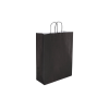 TW-4: 260 x 120 x 350 mm paper bag with twist paper handles 11