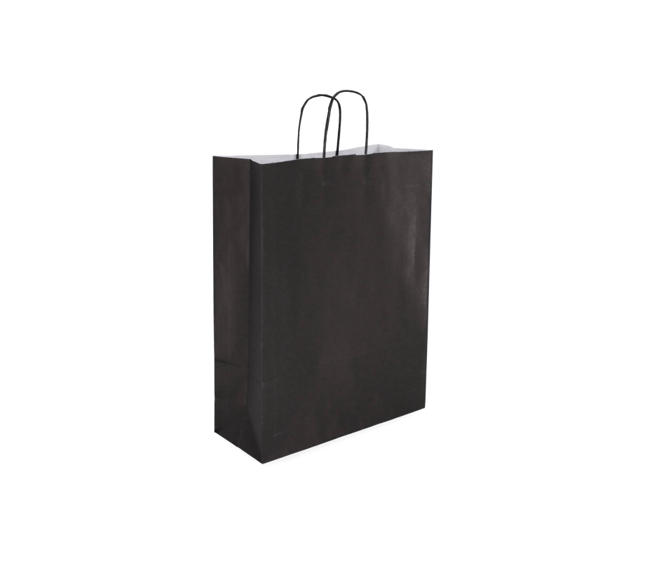 TW-4: 260 x 120 x 350 mm paper bag with twist paper handles 9