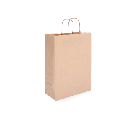 TW-4: 260 x 120 x 350 mm paper bag with twist paper handles 9