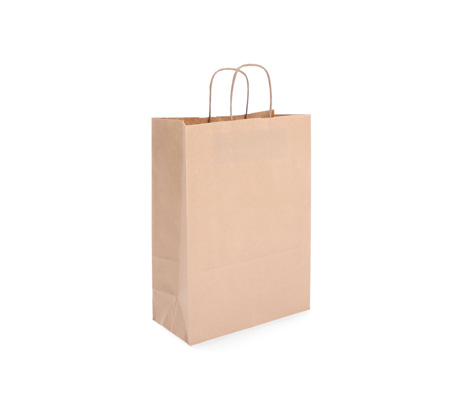 TW-4: 260 x 120 x 350 mm paper bag with twist paper handles 24