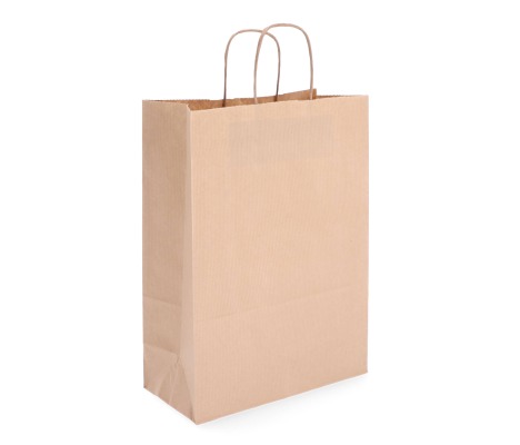 TW-4: 260 x 120 x 350 mm paper bag with twist paper handles 1